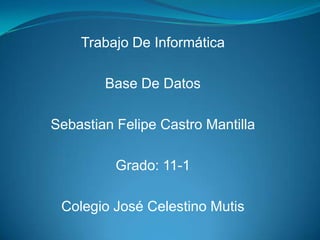 Trabajo De Informática

        Base De Datos

Sebastian Felipe Castro Mantilla

          Grado: 11-1

 Colegio José Celestino Mutis
 