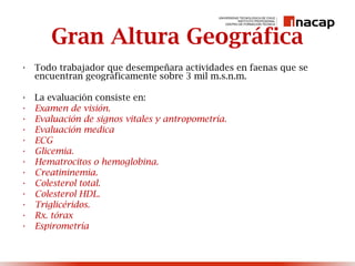 Gran Altura Geográfica
• Todo trabajador que desempeñara actividades en faenas que se
encuentran geográficamente sobre 3 mil m.s.n.m.
• La evaluación consiste en:
• Examen de visión.
• Evaluación de signos vitales y antropometría.
• Evaluación medica
• ECG
• Glicemia.
• Hematrocitos o hemoglobina.
• Creatininemia.
• Colesterol total.
• Colesterol HDL.
• Triglicéridos.
• Rx. tórax
• Espirometría
 