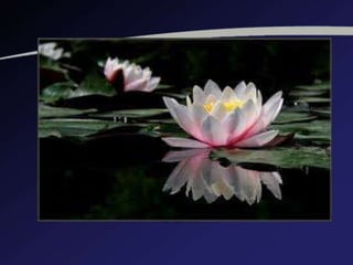 Referentes clásicose en la publicidad