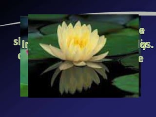 Referentes clásicose en la publicidad