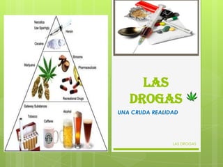 LAS
DROGAS
UNA CRUDA REALIDAD
LAS DROGAS
 
