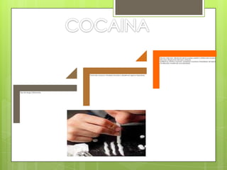 Tipo de droga: Estimulante.
Forma de consumo: Inhalada, fumada o disuelta en agua e inyectada.
Efectos: Adicción, dilatación de las pupilas, presión y latidos del corazón
elevados. Respiración elevada, ataques
epilépticos, infartos, insomnio, ansiedad, inquietud, irritabilidad, temperat
ura elevada, muerte de una sobredosis.
 