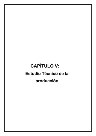 CAPÍTULO V:
Estudio Técnico de la
producción

 