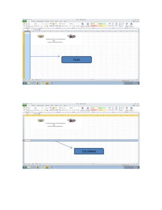 FILAS
COLUMNAS