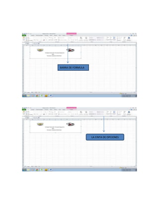 BARRA DE FORMULA
LA CINTA DE OPCIONES