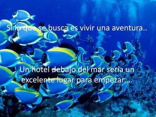 Si lo que se busca es vivir una aventura..
Un hotel debajo del mar sería un
excelente lugar para empezar….
 