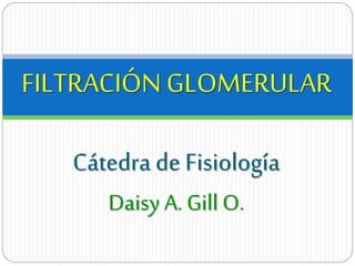 Cátedra de Fisiología
Daisy A. Gill O.
FILTRACIÓN GLOMERULAR
 