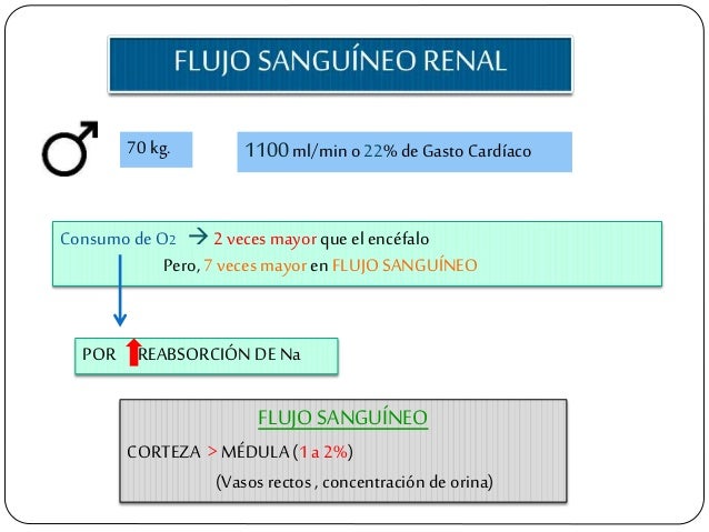 70 kg. 1100ml/min o22% deGasto CardÃ­aco Consumo deO2 ï  2 veces mayor que el encÃ©falo Pero, 7 veces mayor enFLUJO SANGUÃNEO...