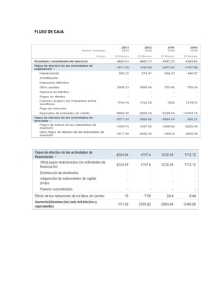 FLUJO DE CAJA
 