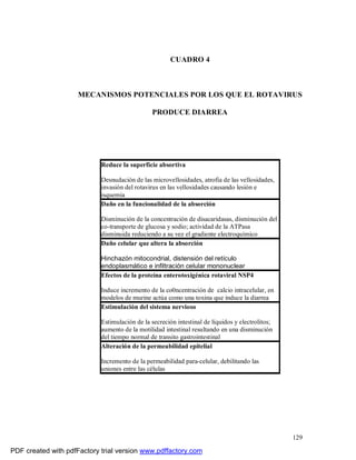 129
CUADRO 4
MECANISMOS POTENCIALES POR LOS QUE EL ROTAVIRUS
PRODUCE DIARREA
Reduce la superficie absortiva
Desnudación de las microvellosidades, atrofia de las vellosidades,
invasión del rotavirus en las vellosidades causando lesión e
isquemia
Daño en la funcionalidad de la absorción
Disminución de la concentración de disacaridasas, disminución del
co-transporte de glucosa y sodio; actividad de la ATPasa
disminuida reduciendo a su vez el gradiente electroquímico
Daño celular que altera la absorción
Hinchazón mitocondrial, distensión del retículo
endoplasmático e infiltración celular mononuclear
Efectos de la proteína enterotoxigénica rotaviral NSP4
Induce incremento de la co0ncentración de calcio intracelular, en
modelos de murine actúa como una toxina que induce la diarrea
Estimulación del sistema nervioso
Estimulación de la secreción intestinal de líquidos y electrolitos;
aumento de la motilidad intestinal resultando en una disminución
del tiempo normal de transito gastrointestinal
Alteración de la permeabilidad epitelial
Incremento de la permeabilidad para-celular, debilitando las
uniones entre las células
PDF created with pdfFactory trial version www.pdffactory.com
 