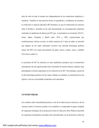 45
años de vida en todo el mundo son independientes de las condiciones higiénicas y
sanitarias. También se han descrito brotes en guarderías y residencias de ancianos.
La infección es especie-específica (RV-humano); ya que la transmisión de rotavirus
entre el hombre y animales no ha sido documentada, en investigaciones aleatorias
realizadas en epidemias de diarrea por RV que se presentaron en Australia, EE.UU.,
Israel, Japón, Tailandia y Brasil entre 1974 y 1993, caracterizadas por
manifestaciones clínicas severas, en niños menores de 5 años de edad; se encontró
que algunas de las cepas infectantes tuvieron una marcada homología genética
mayor del 90% con cepas provenientes de gatos, perros, cerdos, vacas y caballos
(Ver anexo cuadro 3).
La presencia de RV de animales en estas epidemias presupone que la transmisión
interespecies de este agente puede estar ocurriendo de manera natural y pudiera estar
participando en forma importante en la evolución de los RV. Sin embargo, a pesar de
la alta homología genética con las cepas aisladas en animales, la transmisión de una
especie a otra no se ha podido comprobar en la naturaleza.
3.9 INMUNIDAD
Los estudios sobre inmunidad protectora a raíz de la infección por rotavirus o de las
vacunas contra el rotavirus ayudan a los científicos a comprender la gama completa
de respuestas biológicas de la protección contra la infección. Ruiz-Palacios describió
las respuestas inmunitarias asociadas más estrechamente con la protección contra las
PDF created with pdfFactory trial version www.pdffactory.com
 