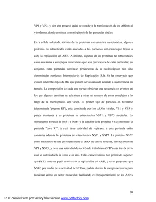 60
VP1 y VP3, y con este proceso quizá se concluye la translocación de los ARNm al
viroplasma, donde continua la morfogénesis de las partículas virales.
En la célula infectada, además de las proteínas estructurales mencionadas, algunas
proteínas no estructurales están asociadas a las partículas sub-virales que llevan a
cabo la replicación del ARN. Asimismo, algunas de las proteínas no estructurales
están asociadas a complejos moleculares que son precursores de estas partículas; en
conjunto, estas partículas subvirales precursoras de la nucleocápside han sido
denominadas partículas Intermediarias de Replicación (RI). Se ha observado que
existen diferentes tipos de RIs que pueden ser aisladas de acuerdo a su diferencia en
tamaño. La composición de cada una parece obedecer una secuencia de eventos en
los que algunas proteínas se adicionan y otras se sustraen de estos complejos a lo
largo de la morfogénesis del virión. El primer tipo de partícula en formarse
(denominada "precore RI"), está constituida por los ARNm virales, VP1 y VP3 y
parece mantener a las proteínas no estructurales NSP1 y NSP3 asociadas. La
subsecuente pérdida de NSP1 y NSP3 y la adición de la proteína VP2 constituye la
partícula "core RI”, la cual tiene actividad de replicasa; a esta partícula están
asociadas además las proteínas no estructurales NSP2 y NSP5. La proteína NSP2
como multímero se une preferentemente al ARN de cadena sencilla, interacciona con
VP1 y NSP5, y tiene una actividad de nucleósido trifosfatasa (NTPasa) a través de la
cual se autofosforila in vitro e in vivo. Estas características han permitido suponer
que NSP2 tiene un papel esencial en la replicación del ARN, y se ha propuesto que
NSP2, por medio de su actividad de NTPasa, podría obtener la energía necesaria para
funcionar como un motor molecular, facilitando el empaquetamiento de los ARNs
PDF created with pdfFactory trial version www.pdffactory.com
 