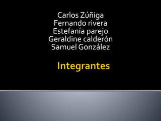 Carlos Zúñiga 
Fernando rivera 
Estefanía parejo 
Geraldine calderón 
Samuel González 
 