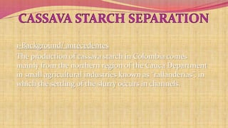1-Background/ antecedentes 
The production of cassava starch in Colombia comes 
mainly from the northern region of the Cauca Department 
in small agricultural industries known as “rallanderías”, in 
which the settling of the slurry occurs in channels. 
 