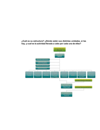¿Cuál es su estructura? ¿Dónde están sus distintas unidades, si las 
hay, y cual es la actividad llevada a cabo por cada una de ellas? 
 