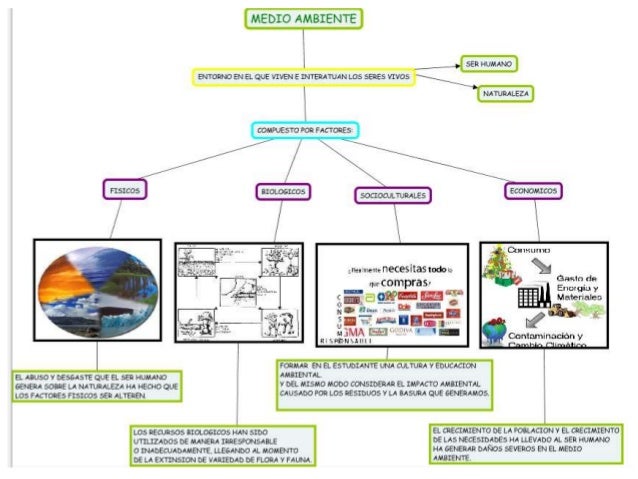 Mapa Conceptual De La Estructura Del Ambiente www.slideshare.net