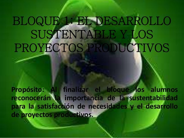 EL DESARROLLO SUSTENTABLE Y LOS PROYECTOS PRODUCTIVOS