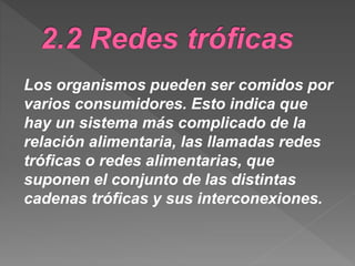 Los organismos pueden ser comidos por
varios consumidores. Esto indica que
hay un sistema más complicado de la
relación alimentaria, las llamadas redes
tróficas o redes alimentarias, que
suponen el conjunto de las distintas
cadenas tróficas y sus interconexiones.
 