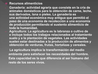  Recursos alimenticios
- Ganadería: actividad agraria que consiste en la cría de
animales domésticos para la obtención de carne, leche,
sus derivados, lana o pieles. La ganadería es
una actividad económica muy antigua que permitió el
paso de una economía de recolección a una economía
de producción permitiendo el sustento alimenticio de
toda la humanidad.
– Agricultura: La agricultura es la labranza o cultivo de
e incluye todos los trabajos relacionados al tratamiento
suelo y a la plantación de vegetales. Las actividades
suelen estar destinadas a la producción de alimentos y
obtención de verduras, frutas, hortalizas y cereales.
La agricultura implica la transformación del medio
ambiente para satisfacer las necesidades del hombre.
Esta capacidad es la que diferencia al ser humano del
resto de los seres vivos.
 