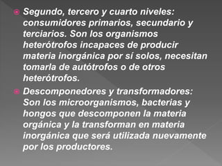  Segundo, tercero y cuarto niveles:
consumidores primarios, secundario y
terciarios. Son los organismos
heterótrofos incapaces de producir
materia inorgánica por sí solos, necesitan
tomarla de autótrofos o de otros
heterótrofos.
 Descomponedores y transformadores:
Son los microorganismos, bacterias y
hongos que descomponen la materia
orgánica y la transforman en materia
inorgánica que será utilizada nuevamente
por los productores.
 