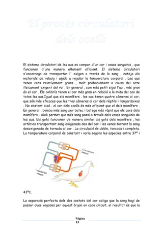El sistema circulatori de les aus es compon d'un cor i vasos sanguinis , que
funcionen d'una manera altament eficient. El sistema circulatori
s'encarrega de transportar l' oxigen a través de la sang , neteja els
materials de rebuig i ajuda a regular la temperatura corporal . Les aus
tenen cors relativament grans , molt probablement a causa del acte
físicament exigent del vol . En general , com més petit sigui l'au , més gran
és el cor . Els colibrís tenen el cor més gran en relació a la mida del cos de
totes les aus.Igual que els mamífers , les aus tenen quatre càmeres al cor,
que són més eficaces que les tres càmeres al cor dels rèptils i llangardaixos
. No obstant això , el cor dels ocells és més eficient que el dels mamífers .
En general , bomba més sang per batec i batega més ràpid que els cors dels
mamífers . Això permet que més sang passi a través dels vasos sanguinis de
les aus. Els gots funcionen de manera similar als gots dels mamífers , les
artèries transportant sang oxigenada des del cor i les venes tornant la sang
desoxigenada de tornada al cor . La circulació és doble, tancada i completa.
La temperatura corporal és constant i varia segons les especies entre 37º i

43ºC.
La separació perfecta dels dos costats del cor obliga que la sang hagi de
passar dues vegades per aquest òrgan en cada circuit, el resultat és que la

Página
13

 