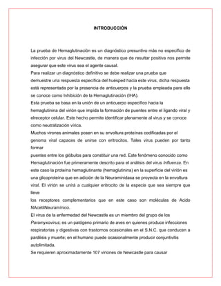 INTRODUCCIÓN

La prueba de Hemaglutinación es un diagnóstico presuntivo más no específico de
infección por virus del Newcastle, de manera que de resultar positiva nos permite
asegurar que este virus sea el agente causal.
Para realizar un diagnóstico definitivo se debe realizar una prueba que
demuestre una respuesta específica del huésped hacia este virus, dicha respuesta
está representada por la presencia de anticuerpos y la prueba empleada para ello
se conoce como Inhibición de la Hemaglutinación (IHA).
Esta prueba se basa en la unión de un anticuerpo específico hacia la
hemaglutinina del virión que impida la formación de puentes entre el ligando viral y
elreceptor celular. Este hecho permite identificar plenamente al virus y se conoce
como neutralización vírica.
Muchos virones animales posen en su envoltura proteínas codificadas por el
genoma viral capaces de unirse con eritrocitos. Tales virus pueden por tanto
formar
puentes entre los glóbulos para constituir una red. Este fenómeno conocido como
Hemaglutinación fue primeramente descrito para el análisis del virus Influenza. En
este caso la proteína hemaglutinante (hemaglutinina) en la superficie del virión es
una glicoproteína que en adición de la Neuraminidasa se proyecta en la envoltura
viral. El virión se unirá a cualquier eritrocito de la especie que sea siempre que
lleve
los receptores complementarios que en este caso son moléculas de Acido
NAcetilNeuramínico.
El virus de la enfermedad del Newcastle es un miembro del grupo de los
Paramyxovirus; es un patógeno primario de aves en quienes produce infecciones
respiratorias y digestivas con trastornos ocasionales en el S.N.C. que conducen a
parálisis y muerte; en el humano puede ocasionalmente producir conjuntivitis
autolimitada.
Se requieren aproximadamente 107 viriones de Newcastle para causar

 