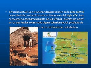 Situación actual: Los picunches desaparecieron de la  zona central  como identidad cultural durante el transcurso del  siglo XIX , tras el progresivo desmantelamiento de los últimos "pueblos de indios" en los que habían conservado alguna cohesión social, producto de la presión y las acusaciones de los  latifundistas  colindantes . 