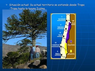 Situación actual:  Su actual territorio se extiende desde Trapa -Trapa hasta la laguna Icalma.  
