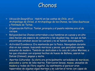 Chonos Ubicación Geográfica:  Habitó en las costas de  Chile , en el  Archipiélago de Chiloé , el  Archipiélago de los Chonos , las  Islas Guaitecas  y  Península de Taitao . Organización Política:  Tenían   jerarquía y el puesto máximo era el de cacique. Religiosidad : los Chonos enterraban a sus hombres en cuevas y en alto ósea hacían una especie de camarote y los dejaban hay, los que se han encontrado estaban secos los cuerpos y no se habían descompuesto. Actividad Económica: Era mantenida por la Pesca. Navegaban durante días en sus canoas, buscando mariscos y peces, que pescaban usando anzuelos de madera. También se dedicaban a la caza de Lobos Marinos, a los que atacaban con arpones hechos de hueso de Ballena, usaron las Dalcas (Canoas), pagaya y sacho. Aportes Culturales: Su  dieta  era principalmente variedades de  mariscos ,  pescados  y  carne  de lobo marino. Fabricaron lanzas,  mazas , anzuelos de  madera  y redes de fibra vegetal. Su vestimenta al parecer eran taparrabos de algunas algas marinas y se cubrían el torso con capas de cuero o tejidas de pelo de  perro . También en ocasiones usaban gorro y se pintaban la cara con colores  rojo ,  negro  o  blanco .  