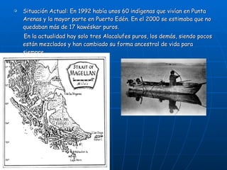 Situación Actual: En 1992 había unos 60 indígenas que vivían en Punta Arenas y la mayor parte en Puerto Edén. En el 2000 se estimaba que no quedaban más de 17 kawéskar puros. En la actualidad hay solo tres Alacalufes puros, los demás, siendo pocos están mezclados y han cambiado su forma ancestral de vida para siempre. 