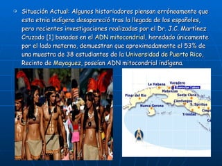 Situación Actual: Algunos historiadores piensan erróneamente que esta etnia indígena desapareció tras la llegada de los españoles, pero recientes investigaciones realizadas por el Dr. J.C. Martínez Cruzado [1] basadas en el  ADN   mitocondrial , heredado únicamente por el lado materno, demuestran que aproximadamente el 53% de una muestra de 38 estudiantes de la  Universidad de Puerto Rico , Recinto de  Mayaguez , poseían ADN mitocondrial indígena. 