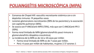 • Consenso de Chapel-Hill: vasculitis necrotizante sistémica con o sin
depósitos inmunes  pequeños vasos
• Lesiones glomerulares necrotizantes (90% de los pacientes) y la asociación
con capilaritis pulmonar (40%).
• Se asocia con P-ANCA/anti-MPO (70%), más que con C-ANCA/anti-PR 3
(30%).
• Forma renal limitada de MPA (glomerulonefritis pauci-inmune o
glomerulonefritis idiopática crescéntica).
• La incidencia de la MPA es de 3,6 a 10 casos por millón
• Forma renal limitada de MPA es de 7 casos por millón.
• Perú: 4 casos por millón de habitantes, mujeres 2.7/ varones 1
Trénor, P., Martínez, A., Pallardó Y. Vasculitis sistémicas asociadas a ANCA: Granulomatosis de Wegener y Poliangeítis Microscópica
 
