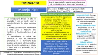 Manejo inicial Una pérdida de 600 mL/dL de sangre aumenta la
mortalidad de un 7 a un 85% ---- transfusiones
Pacientes con glomerulonefritis rápidamente
progresiva que progresa a IRA ----
intercambio terapéutico de plasma y
inmunosupresores (80% eficacia)
CICLOFOSFAMIDA : 40 a 50 mg/kg o 60 a
250 mg/m2 administrada I.V en dosis dividas
en 2-5 días se allí pasar a vía oral en dosis de
2 a 4 mg/kg/24h
se administra concomitantemente con
plasmaféresis para prevenir un rebote en la
supresión de inmunoglobulina
METILPREDNISOLONA: bolo de
metilprednisolona se administra I.V. a una
dosis de 30 mg/kg cada tercer día en un
total de 3 dosis de allí pasar a 1mg/kg/dia
DISFUNCION RENAL SEVERA O CREATININA
> 6 MG/DL --- hemodiálisis a largo plazo, así
como el trasplante renal.
CUIDADO MÉDICO: Remover
anticuerpos patogénicos y
prevenir la nueva producción
de anticuerpos se puede
utilizar rituximab
RESTRICCIÓN DE LÍQUIDOS:
Depende del uso de la
ciclofosfamida y de f. renal
DURACIÓN DEL
TRATAMIENTO: Tres meses y
en pacientes con ANCAs y
anticuerpos anti-MBG 4-6
meses
CUÁNDO NO DAR
TRATAMIENTO: En pacientes
con daño renal severo e
irreversible en la ausencia de
algunos signos de hemorragia
pulmonar
Manejo pulmonar Inmunosupresión y metilprednisolona
• La broncoscopia detecta el sitio de
sangrado, y así, se puede aislar el
pulmón afectado del tejido pulmonar
sano
• El manejo con ventilación mecánica en
la fase aguda es necesario para
mantener la función óptima de la vía
aérea.
• La plasmaféresis se utiliza para
disminuir el nivel de anticuerpos
circulantes de la membrana basal
alveolar, junto con la administración de
bolos de metilprednisolona --- 14 días
o hasta que los Anti-AMBG no se
identifiquen
Una de las principales afecciones en el síndrome
de Goodpasture es la hemorragia pulmonar .
Charles Pusey y Raghu Kalluri. Tratetment and prognosis of anti-GBM
antibody (Goodpasture's) disease. Rev UpToDate. 2018
TRATAMIENTO
En los casos refractarios al
tratamiento una respuesta a
mofetil mucofenolato o a
anticuerpos monoclonares anti-
CD20 puede ser reportado como
efectivo.
 