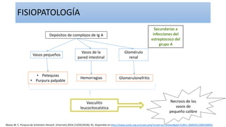 Depósitos de complejos de Ig A
Vasos pequeños
• Petequias
• Purpura palpable
Vasos de la
pared intestinal
Hemorragias
Glomérulo
renal
Glomerulonefritis
Vasculitis
leucocitocalstica
Necrosis de los
vasos de
pequeño calibre
Mazas M. C. Púrpura de Schönlein-Henoch. [Internet].2016 [13/03/2018]; 92, disponible en:http://www.scielo.org.ar/scielo.php?script=sci_arttext&pid=S1851-300X2011000100003
FISIOPATOLOGÍA
 
