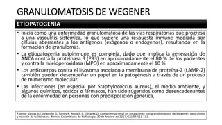 GRANULOMATOSIS DE WEGENER
ETIOPATOGENIA
• Inicia como una enfermedad granulomatosa de las vías respiratorias que progresa
a una vasculitis sistémica, lo que sugiere una respuesta inmune mediada por
células aberrantes a los antígenos (exógenos o endógenos), resultando en la
formación de granulomas.
• La etiopatogenia autoinmune es compleja, dado que implica la generación de
ANCA contra la proteinasa 3 (PR3) en aproximadamente el 80 % de los pacientes
y contra la mieloperoxidasa (MPO) en aproximadamente el 10 %.
• Los anticuerpos contra el lisosoma asociado a membrana de proteína-2 (LAMP-2)
también pueden desempeñar un papel en la patogénesis a través de un proceso
de mimetismo molecular.
• Las infecciones (en especial por Staphylococcus aureus), el medio ambiente, y
algunos químicos, tóxicos o fármacos, han sido sugeridos como desencadenantes
de la enfermedad en personas con predisposición genética.
Fuente: Vargas JLF, Jaramillo G, Torres R, Rosselli C, Olivares O. Compromiso renal en un paciente con granulomatosis de Wegener: caso clínico
y revisión de la literatura. Revista Colombiana de Nefrología. 20 de febrero de 2017;4(1):99-111-111.
 