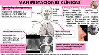 Malestar general, debilidad, artralgias, anorexia, adelgazamiento, y
fiebre
Síntomas y signos inespecíficos:
MANIFESTACIONES CLÍNICAS
Dolor. Secreción purulenta o
sanguinolenta vía nasal, rinorrea
persistente, sinusitis
- Algunos casos: Úlceras mucosa
nasal  Perforación del tabique
nasal + destrucción del hueso
Deformidad de nariz en silla de
montar.
Dolor de oido, otorrea y otitis
media 
Hipoacusia conductiva o
neurosensorial Deterioro
auditivo permanente grave
OÍDO
Cavidad
nasal
Senos
paranasales
Tráquea
PULMONES
Infiltrados asintomáticos Estenosis traqueal o
subglótica: Ronquera y
estridorSintomático: Tos,
hemoptisis, disnea y
dolor retroesternal o
pleurítico.
nódulos
Rx tórax: Nódulos, opacidades
parcheadas o difusas, infiltrados
pulmonares fugaces, adenopatía
hiliar o derrame pleural.
Sistema Nervioso: Neuritis de pares
craneales, mononeuritis multiple,
neuropatía sensorial
KASPER, FAUCI, LONGO, HAUSER: “Harrison; principios de medicina interna”, síndromes vasculíticos, 19va ed., McGraw-Hill edit., México, págs.2181-2185 (2015)
 