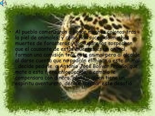 Al pueblo comenzaron a llegar muchos colonos tras la piel de animales, y como han sucedido muchas muertes de forasteros y los lugareños sospechan que el causante de estas muertes es un animal, forman una comisión tras este animal pero al alcalde al darse cuenta que no podrán eliminar a este animal , decide pedirle  a Antonio José Bolívar Proaño, que mate a esta fiera enloquecida, a cambio le compensara con dinero, el viejo quien tiene un espíritu aventurero, decide aceptar este desafió  