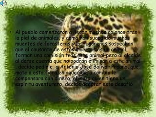 Al pueblo comenzaron a llegar muchos colonos tras la piel de animales, y como han sucedido muchas muertes de forasteros y los lugareños sospechan que el causante de estas muertes es un animal, forman una comisión tras este animal pero al alcalde al darse cuenta que no podrán eliminar a este animal , decide pedirle  a Antonio José Bolívar Proaño, que mate a esta fiera enloquecida, a cambio le compensara con dinero, el viejo quien tiene un espíritu aventurero, decide aceptar este desafió  