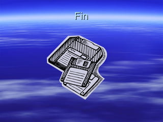 Fin 