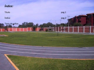 2 Índice: Titulo pag.1 Índice pag.2 Tipos de saltos pag.3-9 Fin pag10 