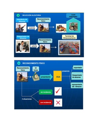 Trabajo de-exportacion-final-healthy-f (5)