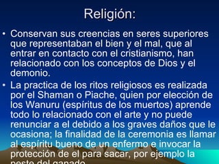 Religión: Conservan sus creencias en seres superiores que representaban el bien y el mal, que al entrar en contacto con el cristianismo, han relacionado con los conceptos de Dios y el demonio. La practica de los ritos religiosos es realizada por el Shaman o Piache, quien por elección de los Wanuru (espíritus de los muertos) aprende todo lo relacionado con el arte y no puede renunciar a el debido a los graves daños que le ocasiona; la finalidad de la ceremonia es llamar al espíritu bueno de un enfermo e invocar la protección de el para sacar, por ejemplo la peste del ganado. 