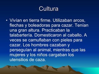 Cultura  Vivían en tierra firme. Utilizaban arcos, flechas y boleadoras para cazar. Tenían una gran altura. Practicaban la talabartería. Domesticaron al caballo. A veces se camuflaban con pieles para cazar. Los hombres cazaban y perseguían al animal, mientras que las mujeres y los niños cargaban los utensilios de caza.  