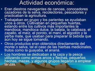 Actividad económica: Eran diestros navegantes de canoas, conocedores cazadores de la selva, recolectores, pescadores y practicaban la agricultura. Trabajaban en grupo y los parientes se ayudaban unos a otros. Cultivaban en pequeñas huertas, estando entre los cultivos más importantes la mandioca, mandioca dulce, la batata, la calabaza, el zapallo, el maíz, el poroto, el maní, el algodón y la yerba mate, que usaban para preparar la bebida que aún hoy se sigue tomando.  Otros productos eran obtenidos directamente del monte o selva, tal el caso de las hierbas medicinales, frutos como la guayaba, el ananá. Los hombres se dedicaban a la caza y la pesca utilizando como armas arcos y flechas, pequeñas hachas, mazas, y algunos grupos llegaron a emplear lanzas. 