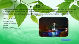 TENA
Es una ciudad de Ecuador, capital de la Provincia de Napo; además, es la cabecera cantonal del Cantón Tena. Está ubicada
en la zona sur de la provincia sobre el valle del río Misahuallí a una altitud de 510 msnm, en la Región Amazónica del
Ecuador. Posee un clima cálido-húmedo con temperatura promedio de 25 ºC. Tena tiene 23.307 habitantes (2010); es el
centro político de la provincia, alberga los principales organismos gubernamentales, culturales y comerciales.
Lugares turísticos:
Puerto Misahuallí.
Cavernas de Jumandy.
Rio Tena.
Cascadas de Latas.
Cavernas la cueva del duende.
Amazonia
 