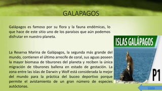 GALAPAGOS
Galápagos es famoso por su flora y la fauna endémicas, lo
que hace de este sitio uno de los paraísos que aún podemos
disfrutar en nuestro planeta.
La Reserva Marina de Galápagos, la segunda más grande del
mundo, contienen el último arrecife de coral, sus aguas poseen
la mayor biomasa de tiburones del planeta y reciben la única
migración de tiburones ballena en estado de gestación. La
zona entre las islas de Darwin y Wolf está considerada la mejor
del mundo para la práctica del buceo deportivo porque
permite el avistamiento de un gran número de especies
autóctonas. Costa
 