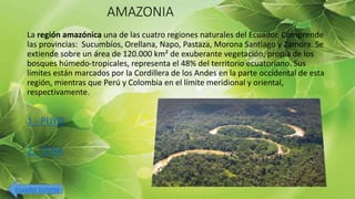 AMAZONIA
La región amazónica una de las cuatro regiones naturales del Ecuador. Comprende
las provincias: Sucumbíos, Orellana, Napo, Pastaza, Morona Santiago y Zamora. Se
extiende sobre un área de 120.000 km² de exuberante vegetación, propia de los
bosques húmedo-tropicales, representa el 48% del territorio ecuatoriano. Sus
límites están marcados por la Cordillera de los Andes en la parte occidental de esta
región, mientras que Perú y Colombia en el límite meridional y oriental,
respectivamente.
1.- PUYO
2.- TENA
Ecuador turismo
 