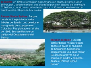 EL SAMAN :  en 1898 se sembraron dos Samanes en el actual Parque Simón Bolívar, por Custodio Rengifo, que quedaba por la en esquina de la antigua Calle Real, cuando los arbolitos tenían aprox. 1.50 metros de altura fueron trasplantados al lugar de hoy en día. Mirador de Belén : En este extraordinario mirador desde donde se divisa el municipio de Santander, funcionaba antiguamente una base militar. Se accede a través de un camino en piedra y cemento desde el Parque Simón Bolívar.  Parque Simón Bolívar:   Parque donde se trasplantaron varios árboles de Samán, uno de ellos el mas grande de su especie en Colombia. Fue plantado en el año de 1898. Sus semillas fueron traídas del Departamento del Tolima.  