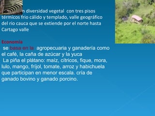 Ecología   Tiene  gran diversidad vegetal  con tres pisos térmicos frio cálido y templado, valle geográfico del rio cauca que se extiende por el norte hasta Cartago valle Economía se  basa en la  agropecuaria y ganadería como el café, la caña de azúcar y la yuca La piña el plátano: maíz, cítricos, fique, mora, lulo, mango, fríjol, tomate, arroz y habichuela que participan en menor escala. cría de ganado bovino y ganado porcino.  