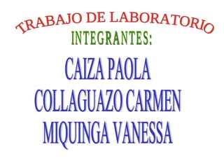 TRABAJO DE LABORATORIO INTEGRANTES: CAIZA PAOLA COLLAGUAZO CARMEN MIQUINGA VANESSA 